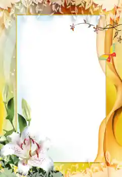 범주에서의 사진 효과 여성 프레임 № 12862