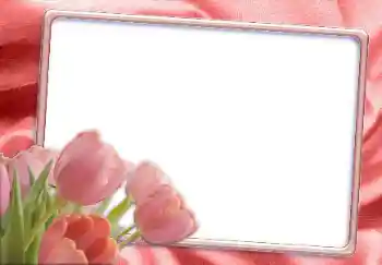 범주에서의 사진 효과 여성 프레임 № 12865