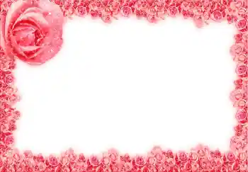 범주에서의 사진 효과 여성 프레임 № 12873