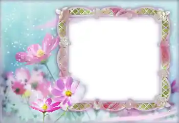 범주에서의 사진 효과 여성 프레임 № 12888