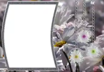 범주에서의 사진 효과 여성 프레임 № 12890