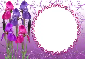 범주에서의 사진 효과 여성 프레임 № 12894