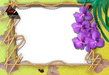 범주에서의 사진 효과 여성 프레임 № 12895