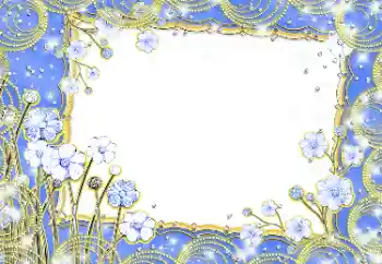 범주에서의 사진 효과 여성 프레임 № 12900