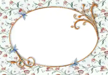 범주에서의 사진 효과 여성 프레임 № 130382