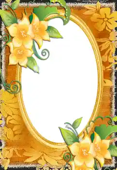 범주에서의 사진 효과 여성 프레임 № 130678