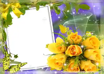 범주에서의 사진 효과 여성 프레임 № 1306