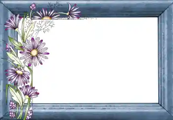 범주에서의 사진 효과 여성 프레임 № 130781