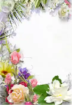 범주에서의 사진 효과 여성 프레임 № 131210 범주에서의 사진 효과 여성 프레임 № 131210