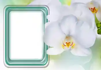 범주에서의 사진 효과 여성 프레임 № 131485 범주에서의 사진 효과 여성 프레임 № 131485