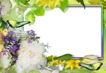 범주에서의 사진 효과 여성 프레임 № 131607 범주에서의 사진 효과 여성 프레임 № 131607