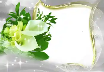 범주에서의 사진 효과 여성 프레임 № 131819 범주에서의 사진 효과 여성 프레임 № 131819