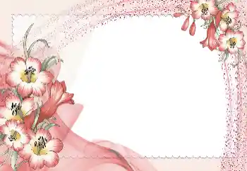 범주에서의 사진 효과 여성 프레임 № 131821 범주에서의 사진 효과 여성 프레임 № 131821