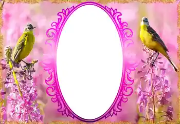 범주에서의 사진 효과 여성 프레임 № 132879 범주에서의 사진 효과 여성 프레임 № 132879