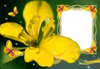 범주에서의 사진 효과 여성 프레임 № 132883 범주에서의 사진 효과 여성 프레임 № 132883