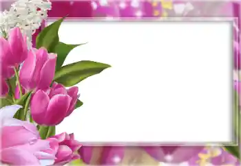 범주에서의 사진 효과 여성 프레임 № 133077 범주에서의 사진 효과 여성 프레임 № 133077