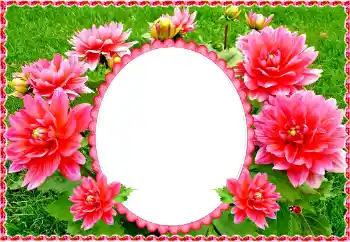 범주에서의 사진 효과 여성 프레임 № 133288 범주에서의 사진 효과 여성 프레임 № 133288