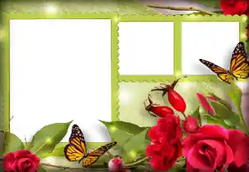 범주에서의 사진 효과 여성 프레임 № 134497 범주에서의 사진 효과 여성 프레임 № 134497