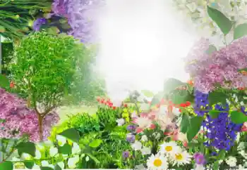 범주에서의 사진 효과 여성 프레임 № 13913