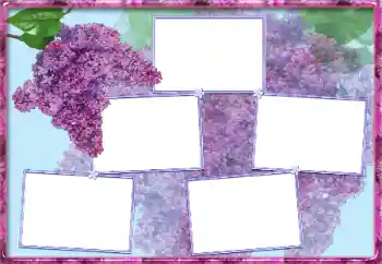 범주에서의 사진 효과 여성 프레임 № 13954