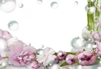 범주에서의 사진 효과 여성 프레임 № 139757 범주에서의 사진 효과 여성 프레임 № 139757