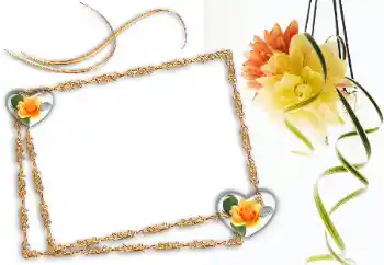 범주에서의 사진 효과 여성 프레임 № 13984