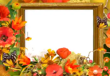 범주에서의 사진 효과 여성 프레임 № 139911 범주에서의 사진 효과 여성 프레임 № 139911