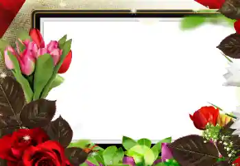 범주에서의 사진 효과 여성 프레임 № 139912 범주에서의 사진 효과 여성 프레임 № 139912