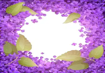 범주에서의 사진 효과 여성 프레임 № 141055