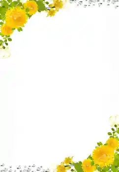 범주에서의 사진 효과 여성 프레임 № 141062