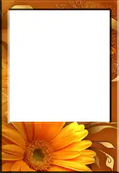 범주에서의 사진 효과 여성 프레임 № 141132