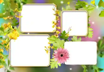 범주에서의 사진 효과 여성 프레임 № 141134