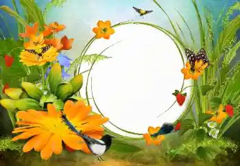 범주에서의 사진 효과 여성 프레임 № 142333