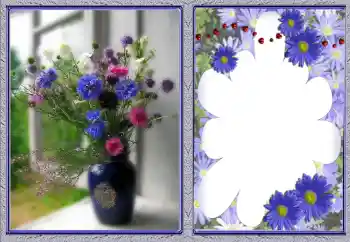 범주에서의 사진 효과 여성 프레임 № 142378