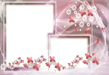 범주에서의 사진 효과 여성 프레임 № 142443