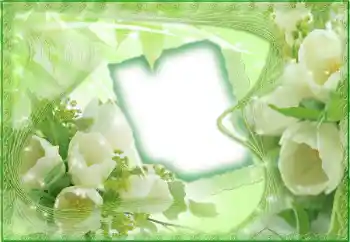 범주에서의 사진 효과 여성 프레임 № 143497