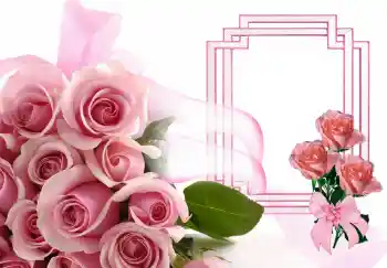 범주에서의 사진 효과 여성 프레임 № 143506