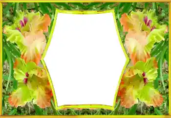 범주에서의 사진 효과 여성 프레임 № 143517