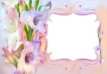 범주에서의 사진 효과 여성 프레임 № 143530