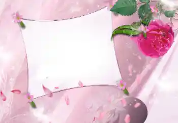 범주에서의 사진 효과 여성 프레임 № 143586