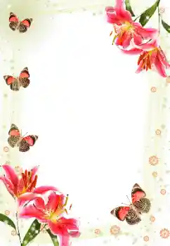 범주에서의 사진 효과 여성 프레임 № 143606