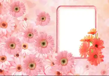 범주에서의 사진 효과 여성 프레임 № 143633