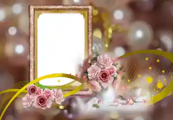 범주에서의 사진 효과 여성 프레임 № 143635