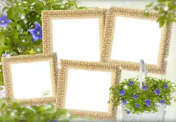 범주에서의 사진 효과 여성 프레임 № 143738