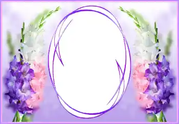 범주에서의 사진 효과 여성 프레임 № 143774