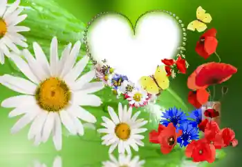 범주에서의 사진 효과 여성 프레임 № 143780