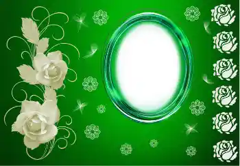 범주에서의 사진 효과 여성 프레임 № 144987