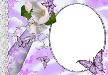 범주에서의 사진 효과 여성 프레임 № 145184