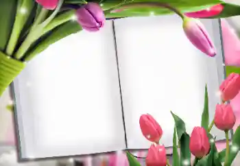 범주에서의 사진 효과 여성 프레임 № 145223