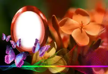 범주에서의 사진 효과 여성 프레임 № 146254